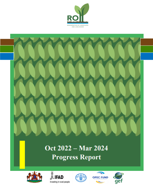 Thumbnail for ROLL Oct 2022 – Mar 2024 Progress Report